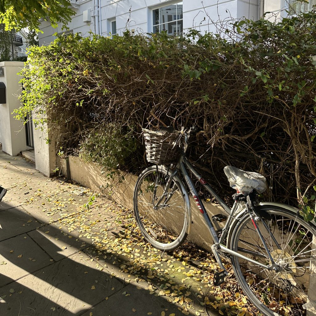 the garden and its&nbsp;essence